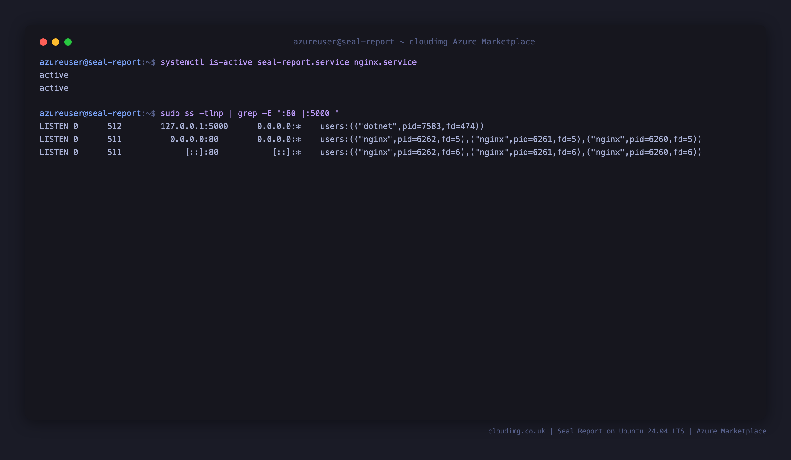 seal-report.service and nginx.service reporting active, with Seal Report listening on 127.0.0.1:5000 and nginx on port 80