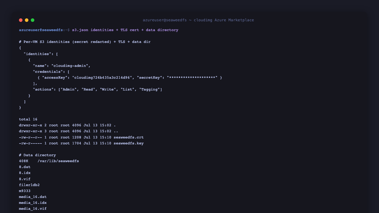 Per-VM S3 identities in /etc/seaweedfs/s3.json and the TLS certificate under /etc/seaweedfs/tls; data directory at /var/lib/seaweedfs