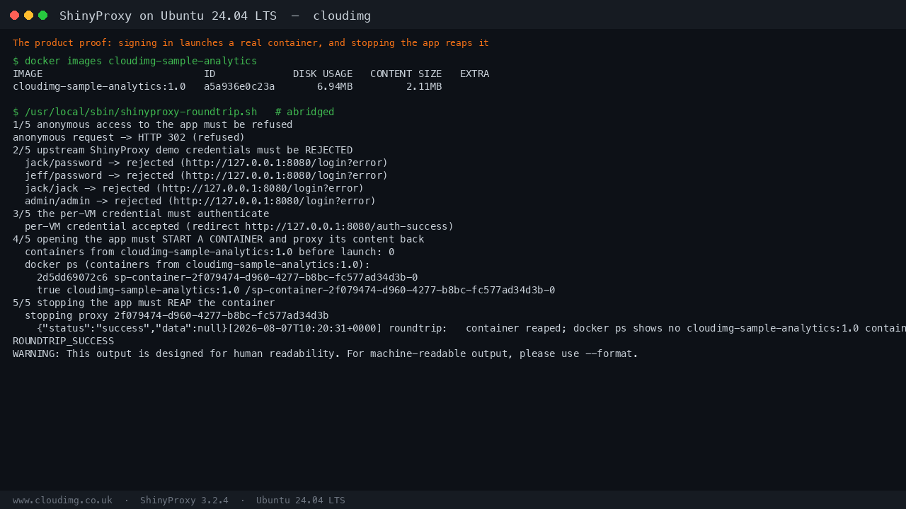 The sample analytics container image present on the VM, and the round trip probe refusing anonymous access, rejecting jack, jeff and admin logins, accepting the per VM credential, starting a container, proxying the app back and then reaping the container