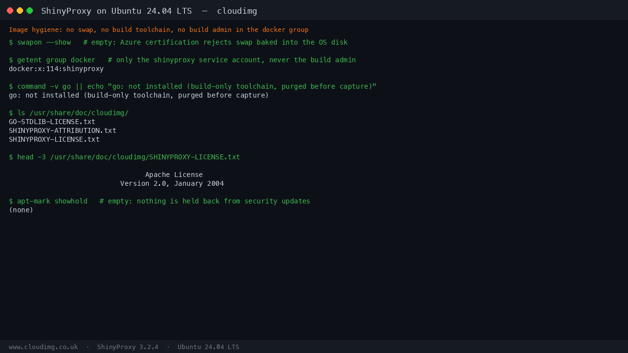 No swap present, the docker group containing only the shinyproxy service account, the build only Go toolchain absent, the shipped licence texts, and no packages held back from security updates