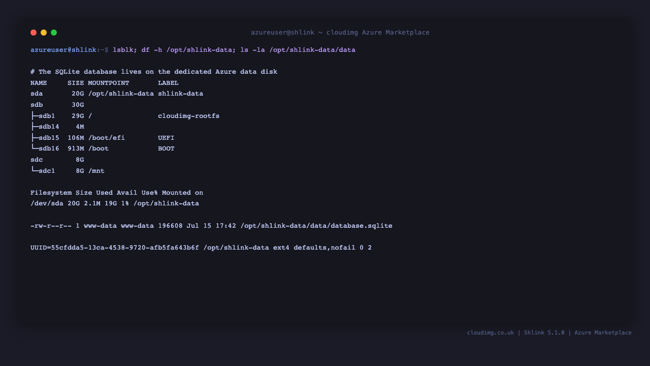 The dedicated ext4 Azure data disk mounted at /opt/shlink-data, holding the SQLite database, with its fstab entry keyed by UUID