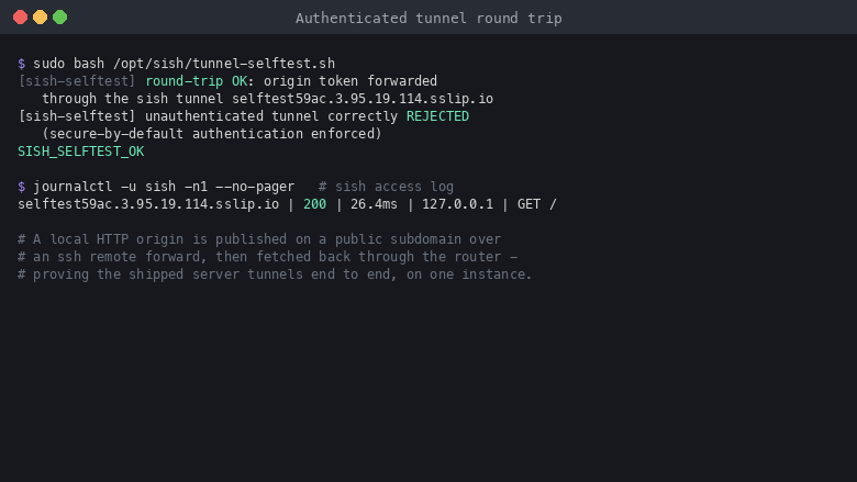 The sish tunnel self test reporting round-trip OK with the origin token forwarded through the sish tunnel, the unauthenticated tunnel correctly rejected, and SISH_SELFTEST_OK, followed by the sish access log showing a 200 response served through the tunnel
