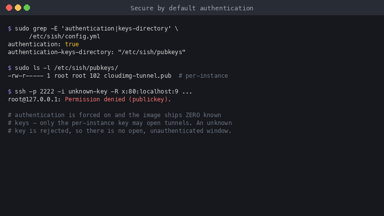grep of config.yml showing authentication set to true and the authentication keys directory, ls of the pubkeys directory showing the single per instance authorized key, and an ssh tunnel attempt with an unknown key being rejected with permission denied publickey
