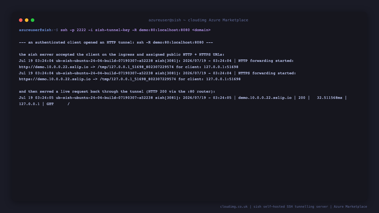 the sish server log showing an authenticated tunnel client connect on the ingress port and bind an HTTP forward, and the tunnel client output listing the assigned public HTTP and HTTPS URLs on a subdomain of this instance sslip.io tunnel domain that the local service is now reachable at