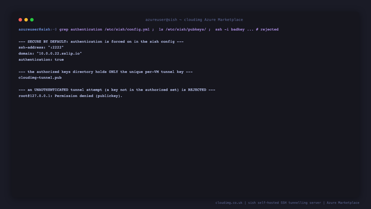 the sish config showing authentication set to true, the tunnel ingress bound to port 2222 and the per instance tunnel domain, and the authorized keys directory listing the single unique per instance tunnel key generated at first boot, confirming the server is secure by default with authentication enforced and no shared or default credential