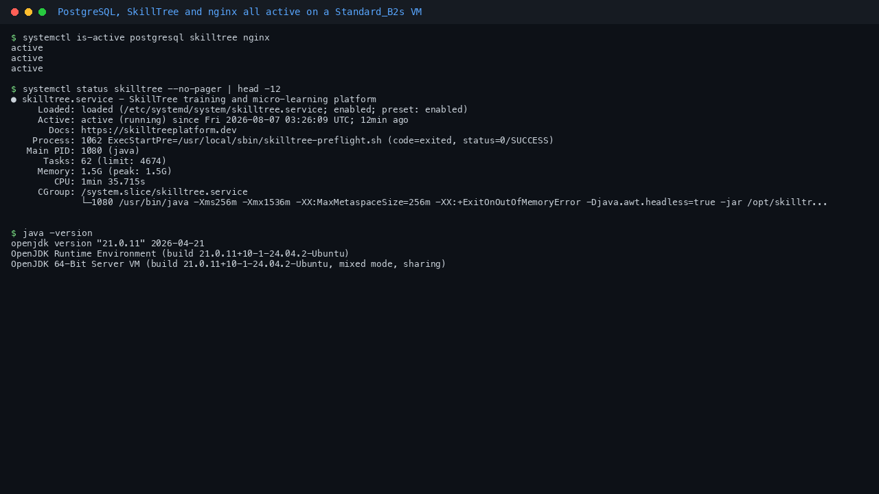 PostgreSQL, SkillTree and nginx all reporting active, with OpenJDK 21 as the runtime and nginx listening on port 80