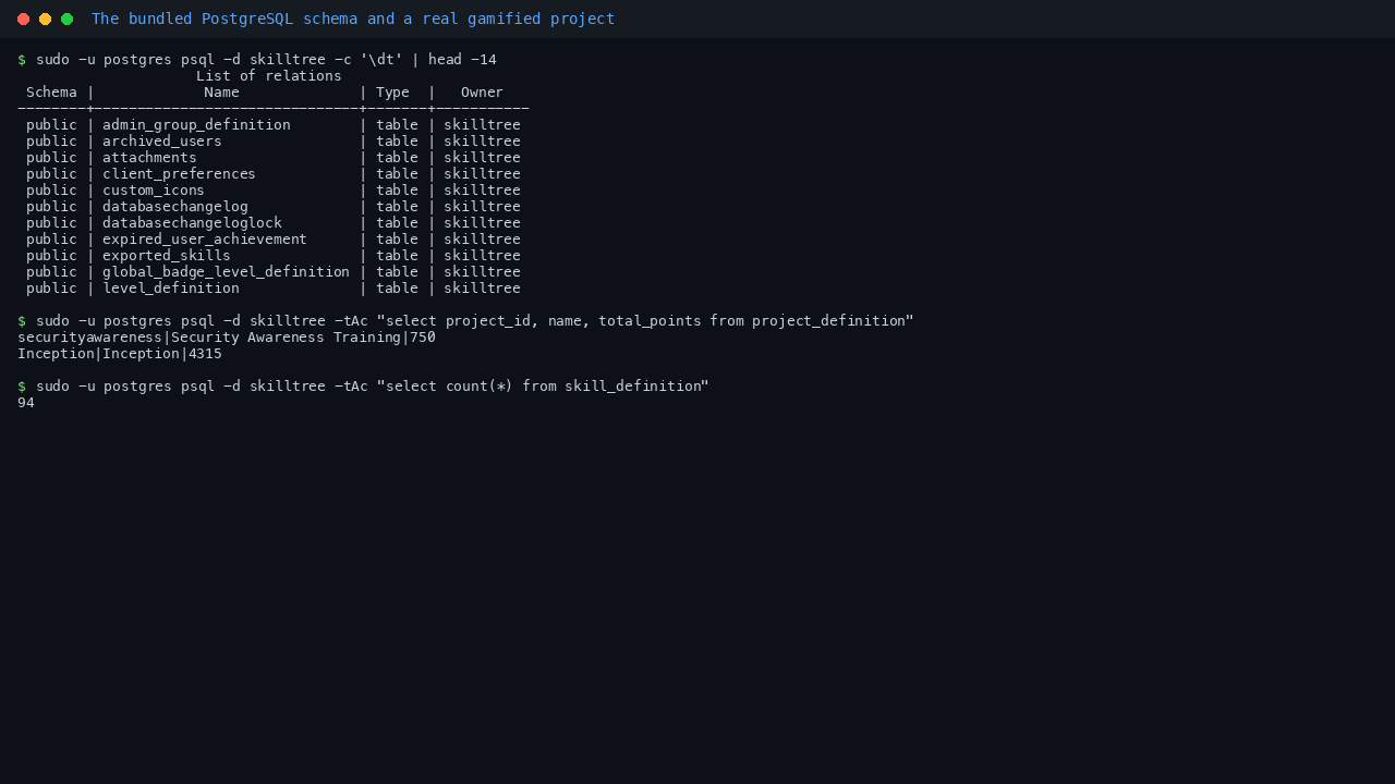 The bundled PostgreSQL schema with a real project and its skill count
