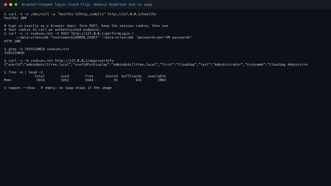 The health probe, a form login returning HTTP 200 with a session cookie, the authenticated user endpoint, memory headroom and an empty swap table