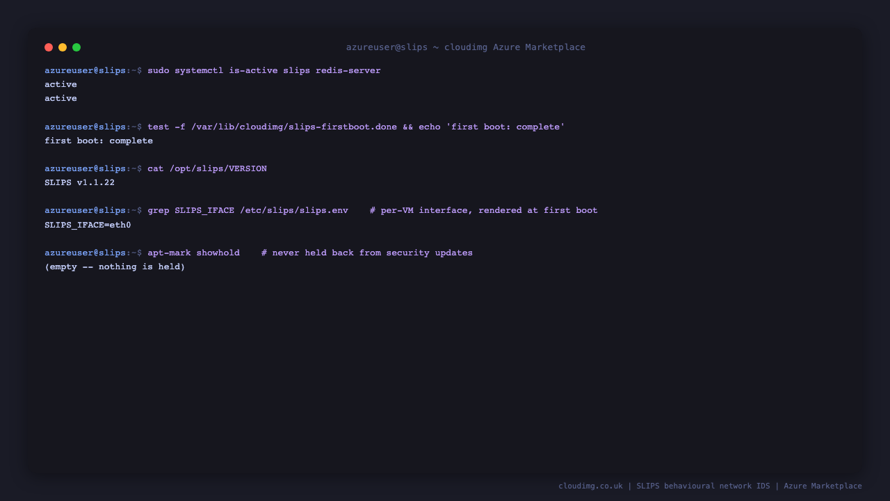 The SLIPS behavioural IDS service and its Redis datastore both reporting active on a freshly deployed virtual machine, first boot confirmed complete, with the SLIPS version and the capture interface resolved to this machine's own primary network device