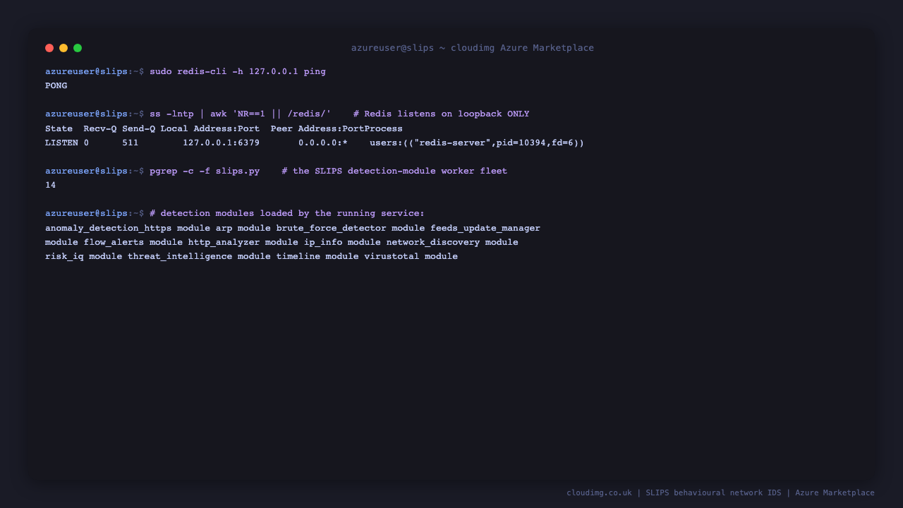 SLIPS confirmed to be analysing the primary interface: Redis answering on loopback only, the Redis listener bound exclusively to 127.0.0.1, and the SLIPS worker fleet of detection modules running