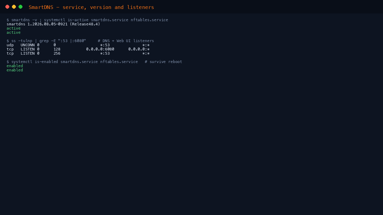SmartDNS service, version and listeners