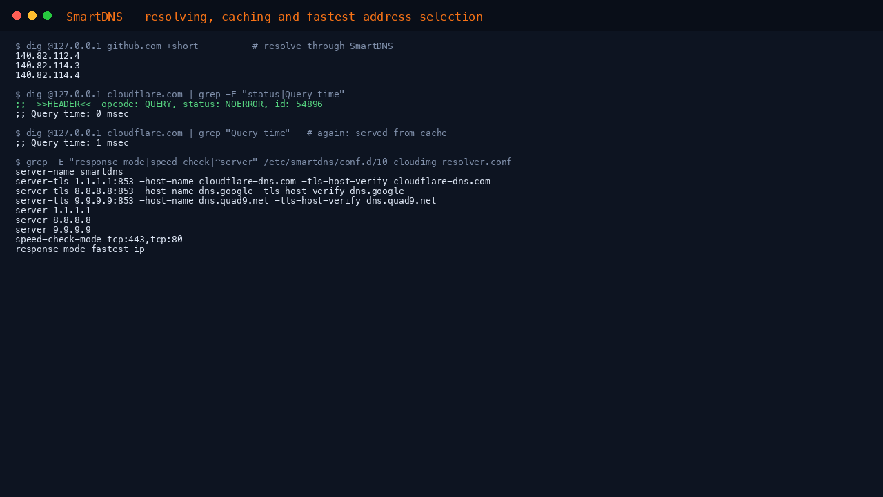 SmartDNS resolving, caching and fastest address selection