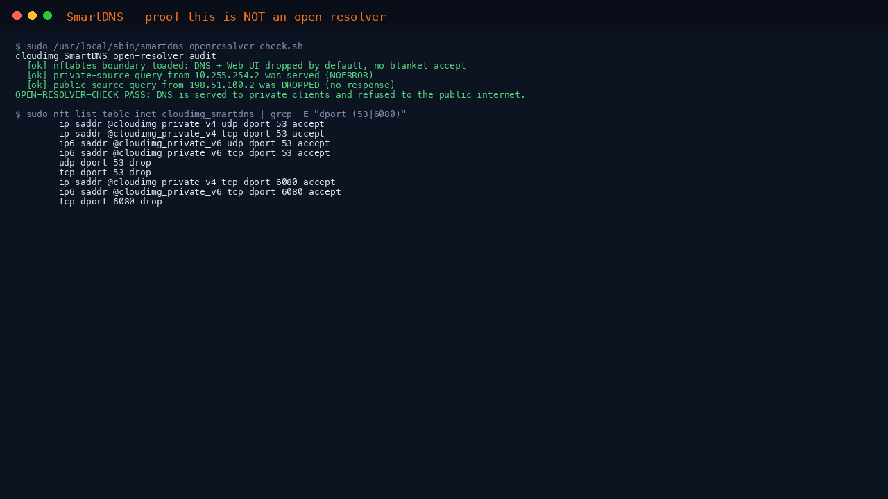Proof that SmartDNS is not an open resolver