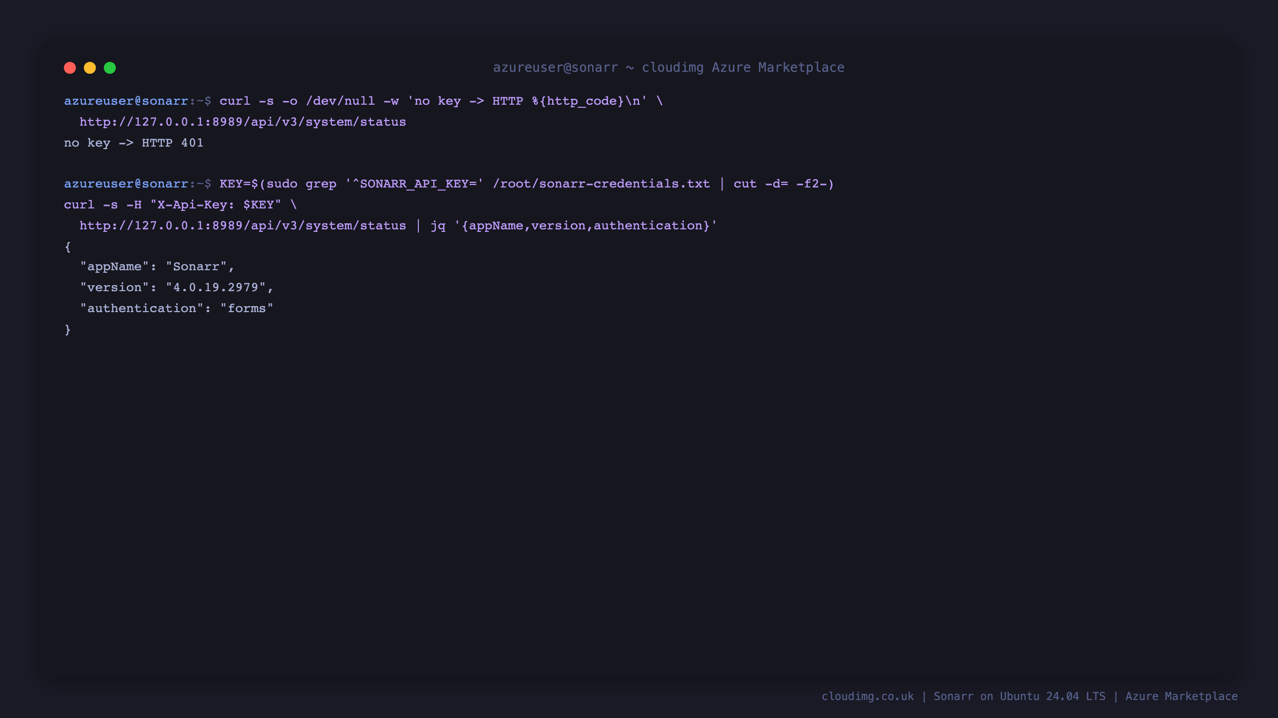 curl showing an unauthenticated request to the system status API returning HTTP 401, and an authenticated request with the per VM API key returning appName Sonarr, version 4.0.19.2979 and authentication forms