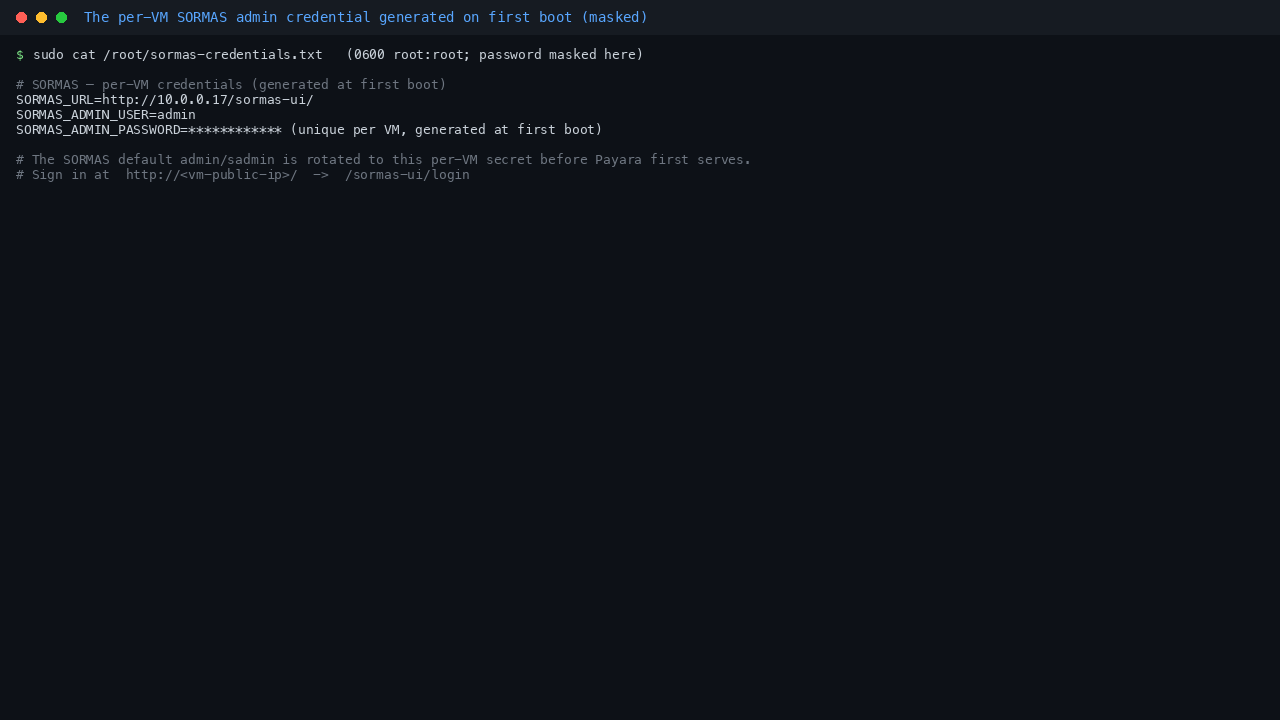 The per-VM SORMAS admin credential generated on first boot