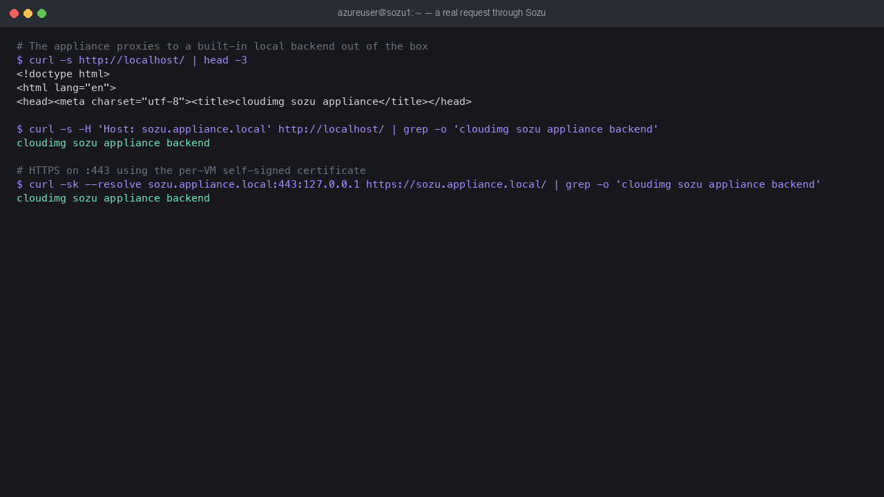 A real HTTP request served through Sozu out of the box: curl to localhost returns the built-in backend HTML page, the demo vhost on port 80 returns the backend marker, and an HTTPS request on port 443 using the per-VM self-signed certificate returns the same real backend body