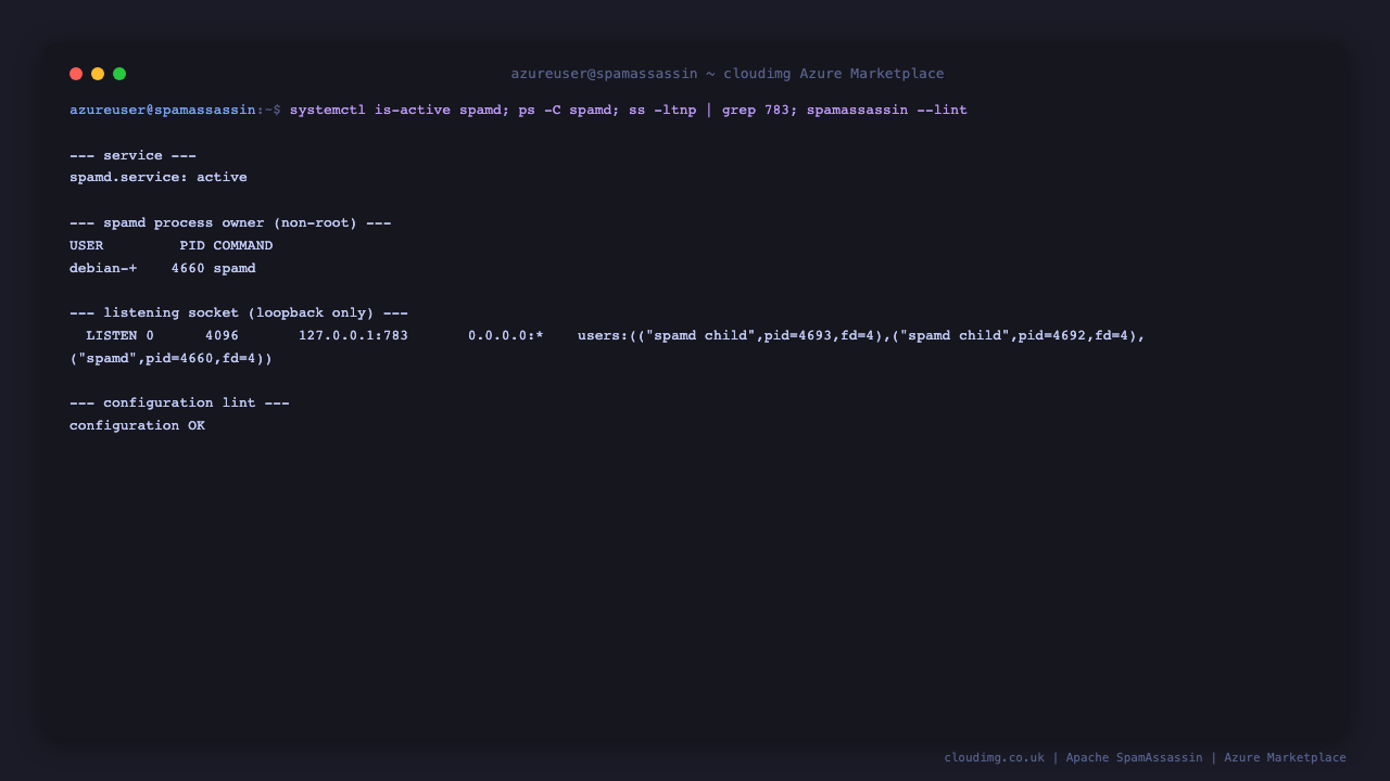 SpamAssassin status: the spamd service is active, running as the non root debian-spamd user, bound to 127.0.0.1:783 only, with a clean spamassassin --lint