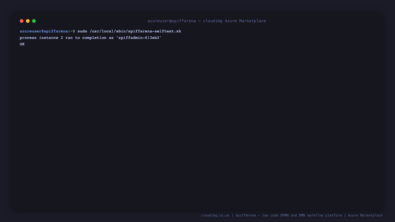 The shipped self test proving the workflow engine executes and no known credential works