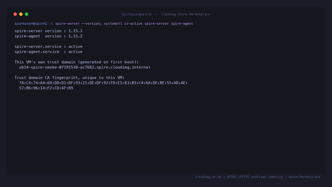 SPIRE server and agent versions with both services reporting active
