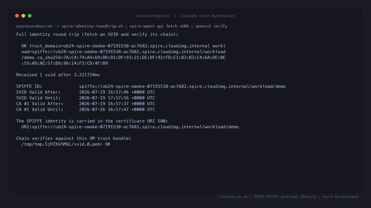 The identity round trip self test reporting OK with the trust domain, workload identity and certificate authority fingerprint
