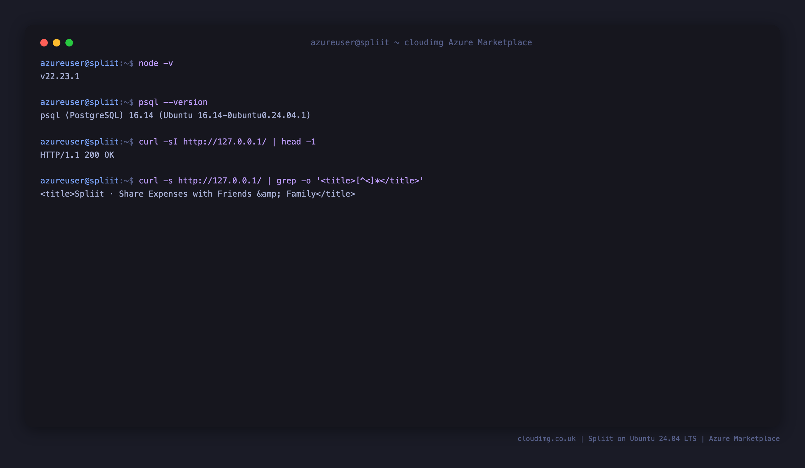 Runtime versions and the health of the application