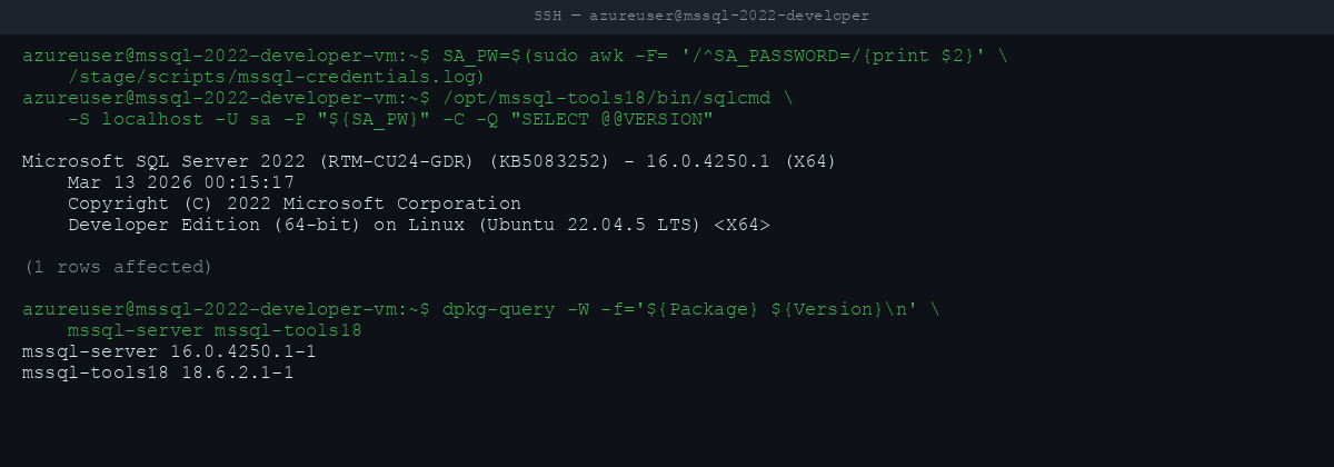 sqlcmd shows @@VERSION reports Microsoft SQL Server 2022 Developer Edition (64-bit) on Linux (Ubuntu 22.04)