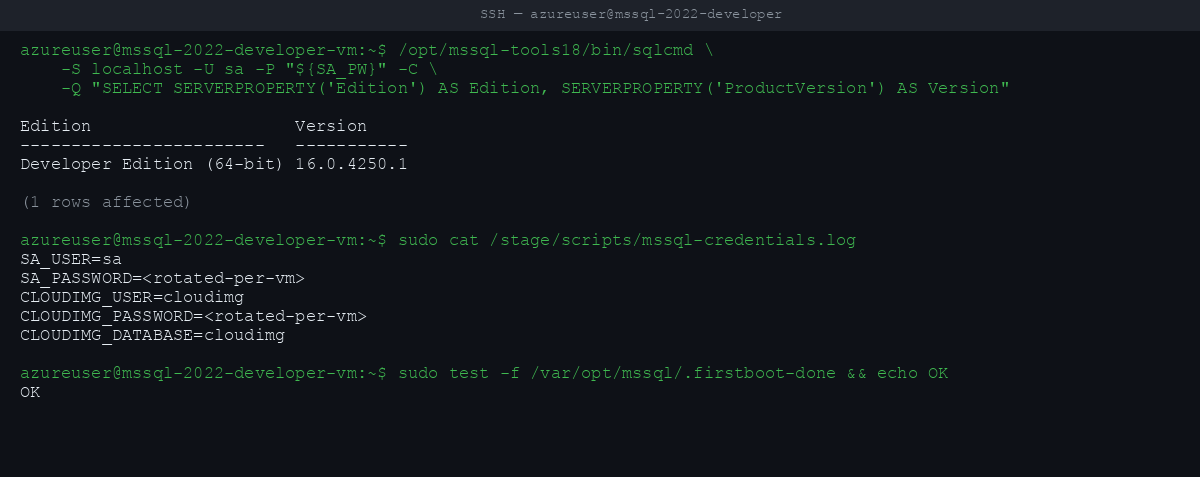SERVERPROPERTY('Edition') confirms Developer Edition (64-bit) — full Enterprise feature set, free for development and testing only