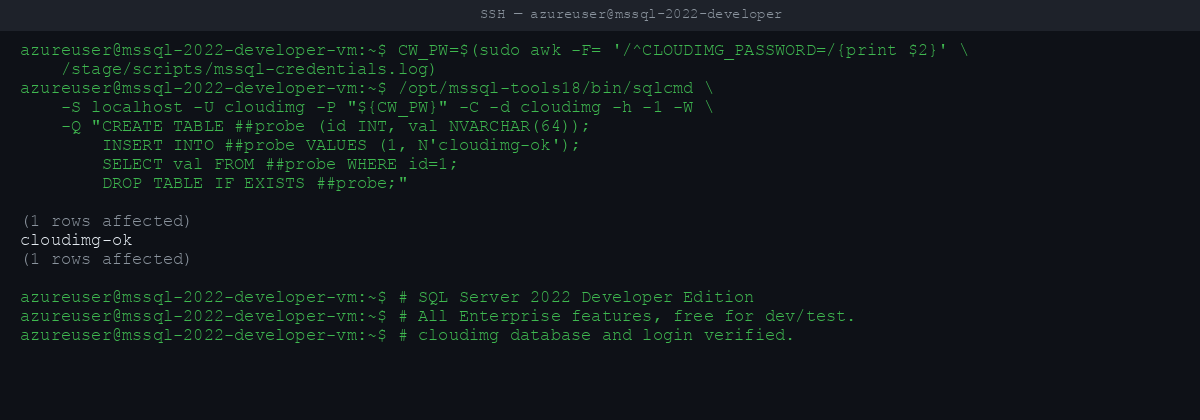 cloudimg user CREATE TABLE / INSERT / SELECT round-trip on cloudimg database returns cloudimg-ok