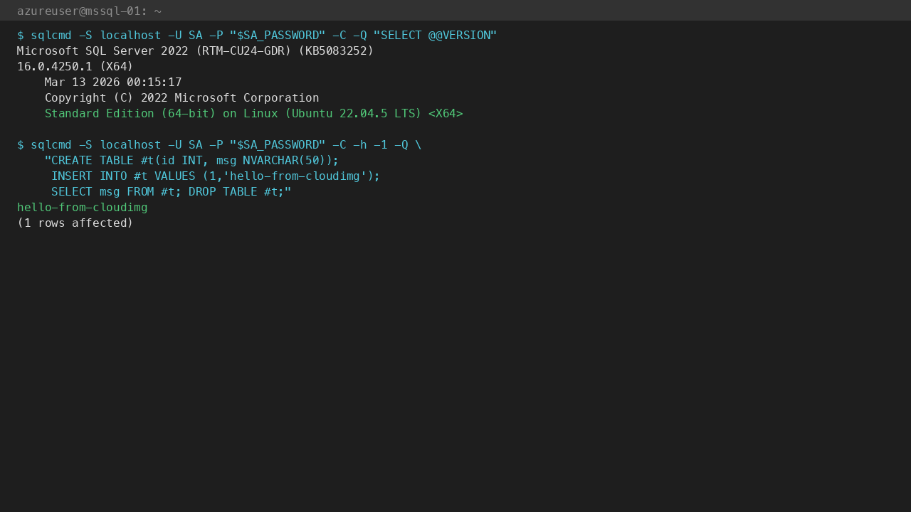 @@VERSION reports SQL Server 2022 Standard on Linux (Ubuntu 22.04); CREATE/INSERT/SELECT round-trip returns hello-from-cloudimg
