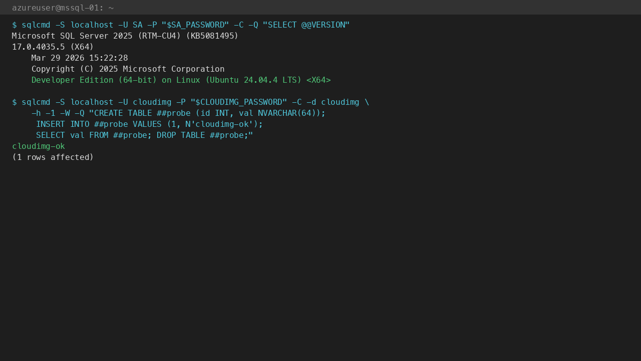 @@VERSION reports SQL Server 2025 Developer on Linux (Ubuntu 24.04); CREATE/INSERT/SELECT round-trip returns hello-from-cloudimg