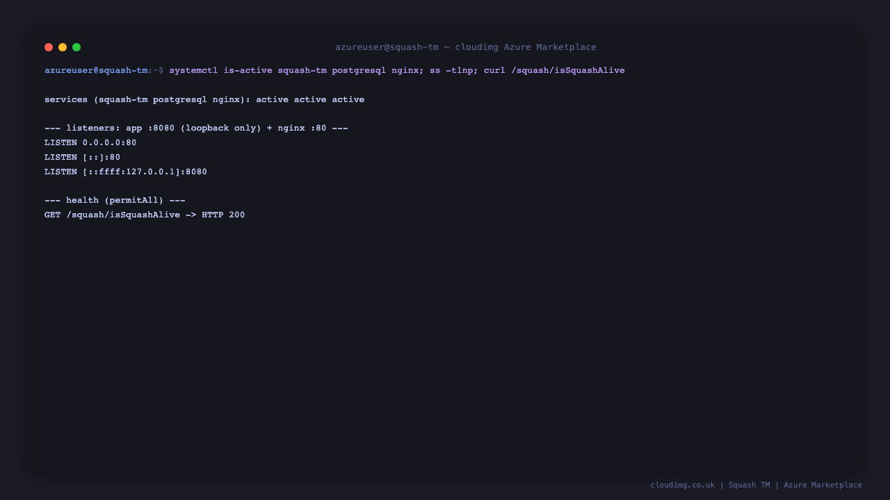 Squash TM services, listeners and health check on the terminal
