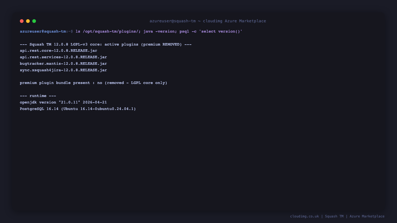 Squash TM 12 LGPL core plugins and runtime versions