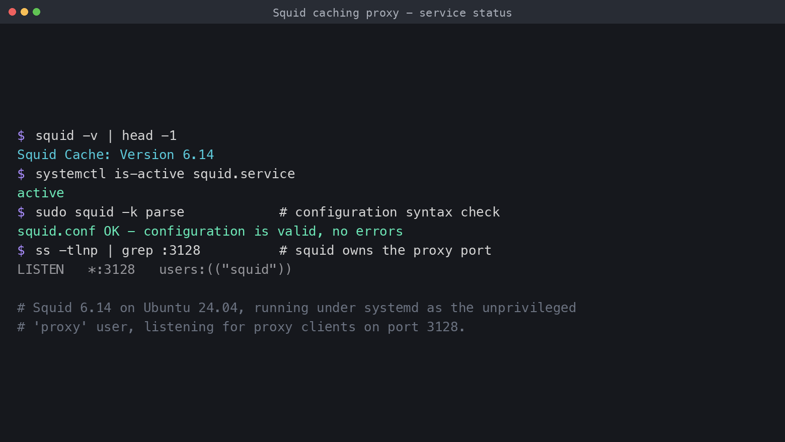 Squid service status showing version 6.14, active service and the proxy listening on port 3128