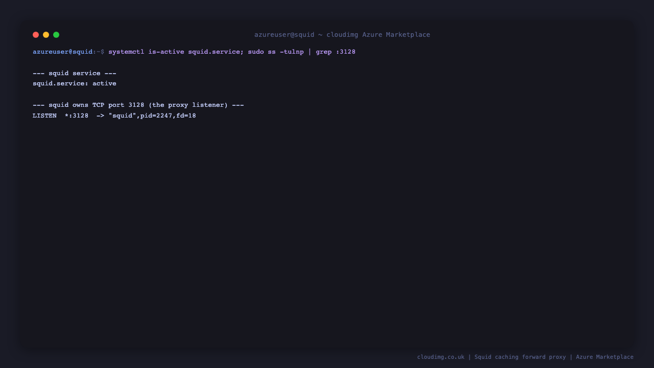 squid.service reports active, and ss shows the squid process listening on TCP port 3128, confirming the caching proxy is up and ready to accept client connections
