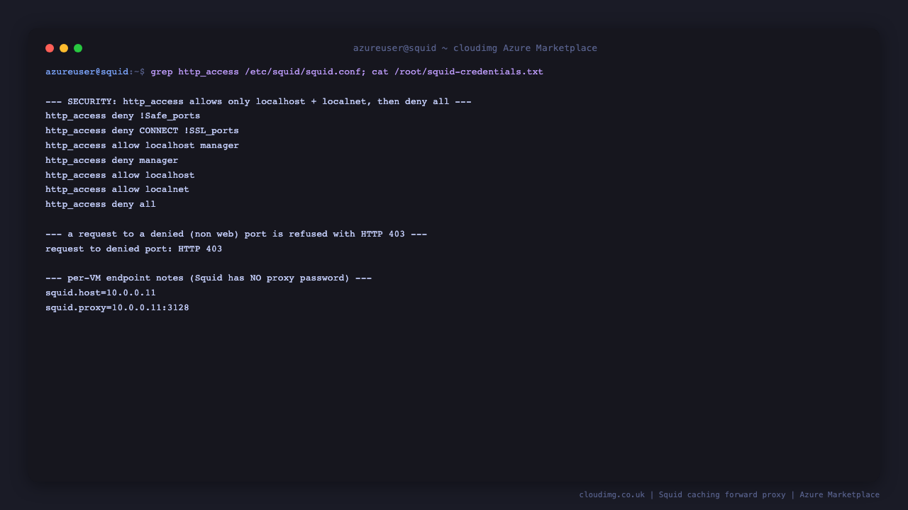 The http_access rules show allow localhost and allow localnet followed by a final deny all, a request to a denied port is refused with HTTP 403, and the per-VM endpoint notes list only the proxy host and port with no password, confirming the proxy is not open and ships no baked credential