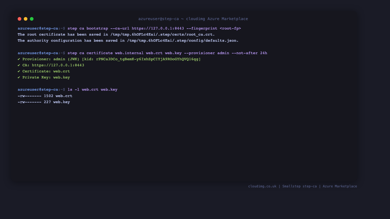 Bootstrapping a client against the CA and issuing a short lived leaf certificate from the admin provisioner