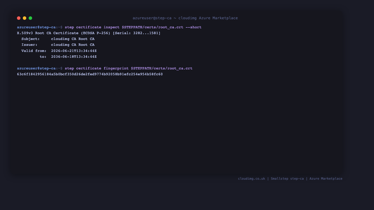 Inspecting the root certificate and reading its fingerprint with the step tool