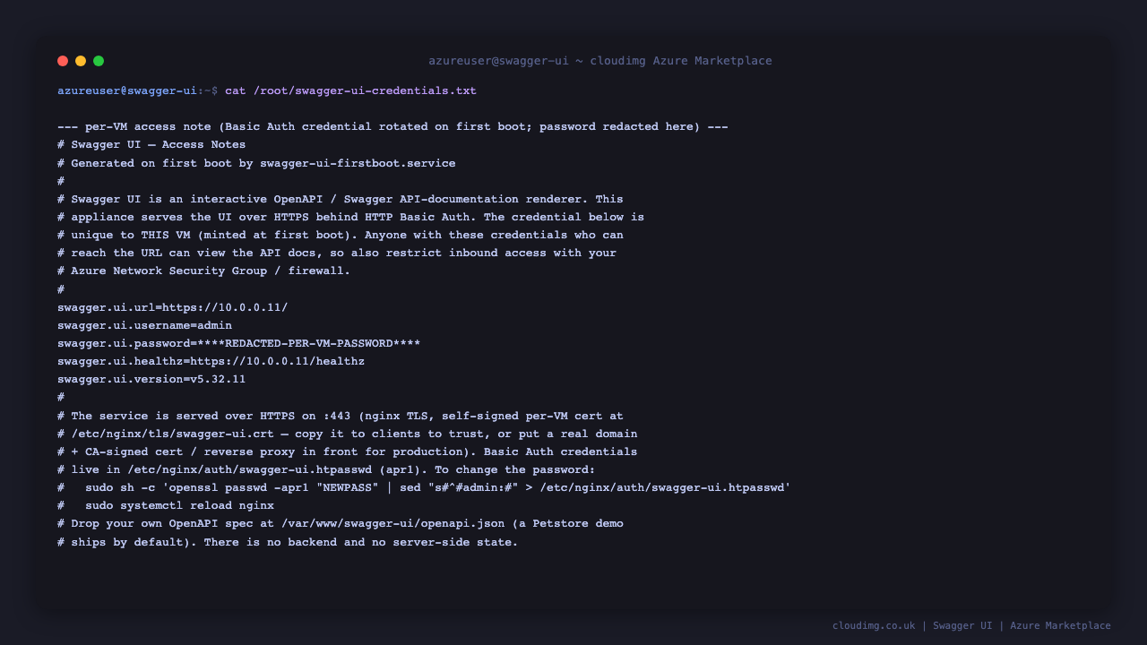 Terminal showing the per VM Swagger UI access note with the URL, the admin username, the Basic Auth password field, and instructions to change the password and drop in your own OpenAPI spec