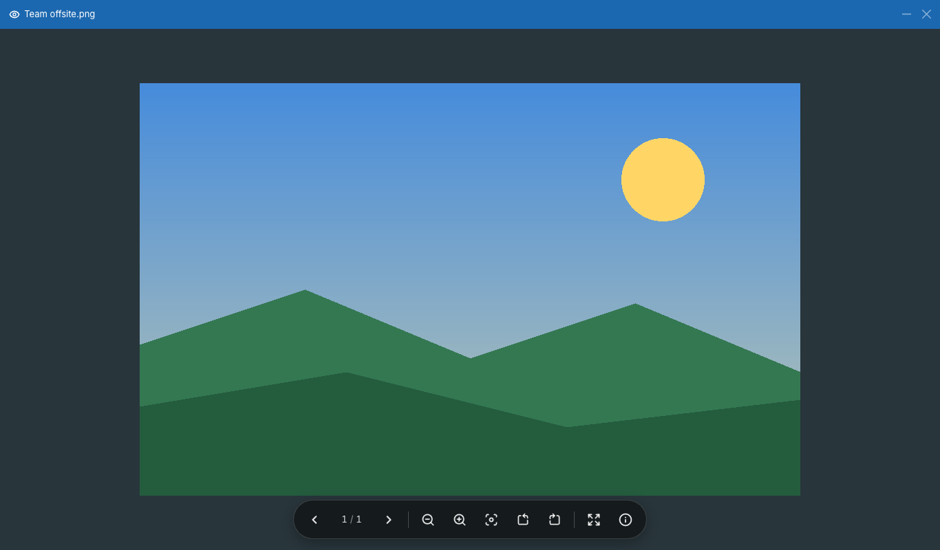An image in the image viewer