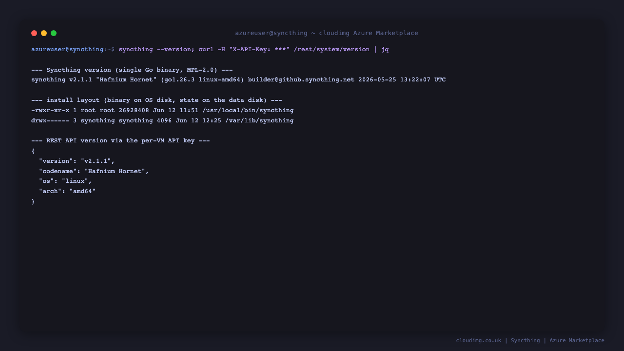 Syncthing version, binary location, and the persisted data tier on the dedicated disk