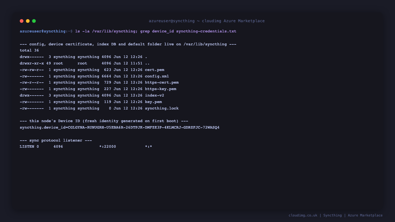 Dedicated data disk layout: config.xml, device certificate, index database and the default synced folder under /var/lib/syncthing
