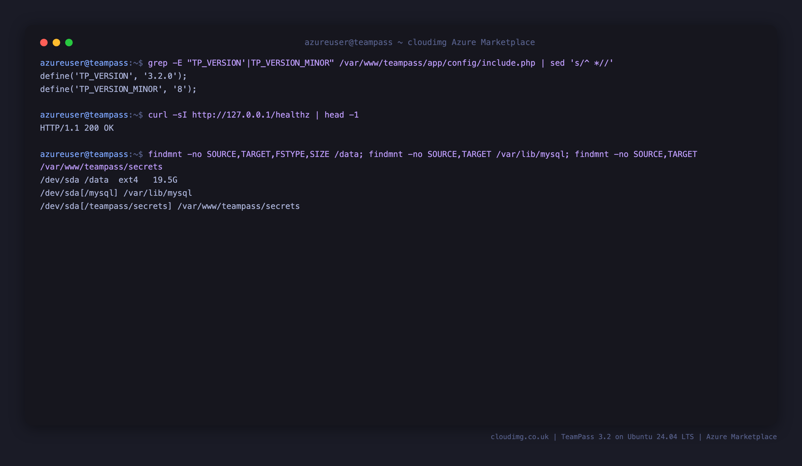 The installed TeamPass version, the healthz endpoint returning 200, and the ext4 data disk mounted at /data with the database and the secrets directory bind mounted onto it