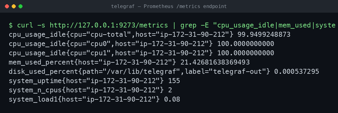 The built-in Prometheus client output on loopback port 9273 returning the metrics exposition page with live cpu, mem, disk and system measurements