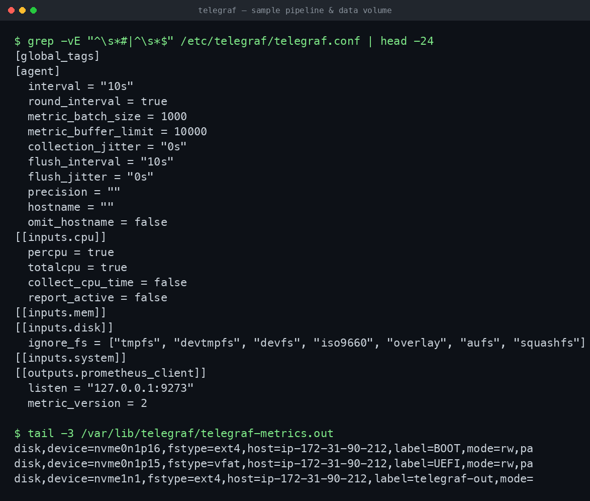 The sample input and output plugin blocks in telegraf.conf and the metrics line protocol persisted to the file output on the dedicated data volume