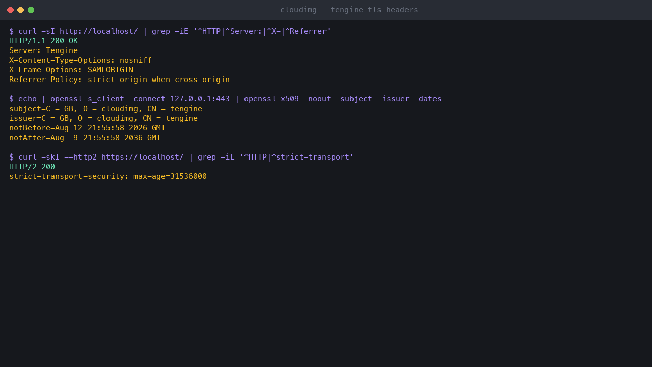 curl showing HTTP 200 with a bare Server: Tengine header and security headers, the per-VM self-signed certificate subject and issuer, and an HTTP/2 200 response with HSTS on port 443
