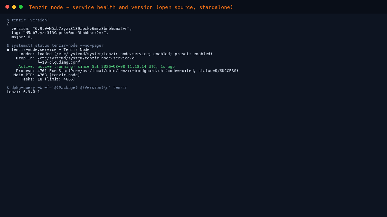 Tenzir node service health and version