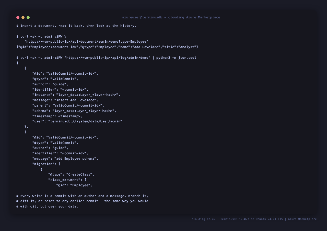Documents read back, and the commit history that records every write