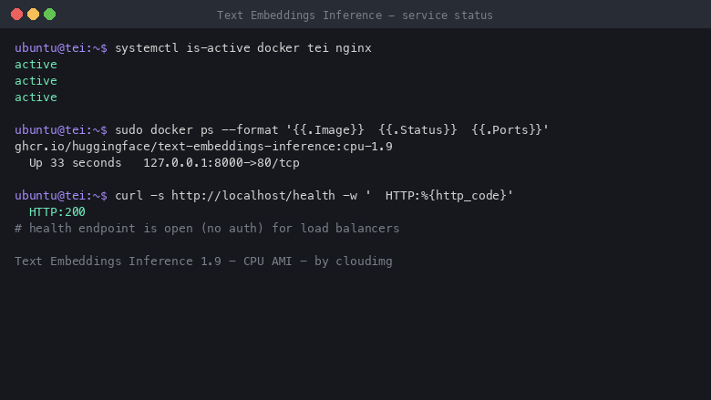 Text Embeddings Inference running on the cloudimg CPU AMI - docker, tei and nginx active, the TEI container serving on host loopback, and the open health endpoint returning HTTP 200