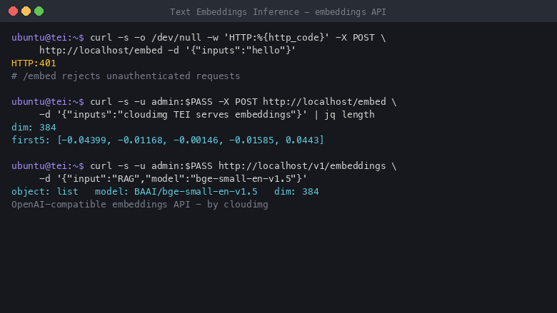 The TEI embeddings API - an unauthenticated /embed request rejected with HTTP 401, an authenticated request returning a 384-dimension vector, and the OpenAI-compatible /v1/embeddings endpoint reporting the served model