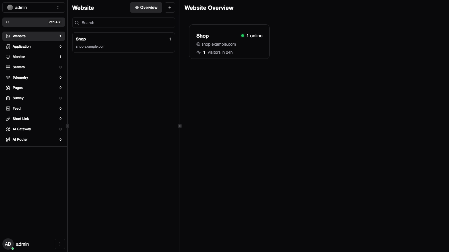 The Tianji Website Overview with one website, Shop at shop.example.com, showing 1 online and 1 visitor in 24 hours